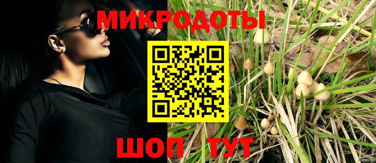 Галлюциногенные грибы мухоморы  Вход с VPN  Галлюциногенные грибы Psilocybine cubensis  Ртищево 